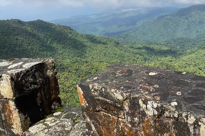 El Yunque Rainforest Hike with Transport from San Juan - Mt. Britton tower: the payoff stop (and what rain can do)