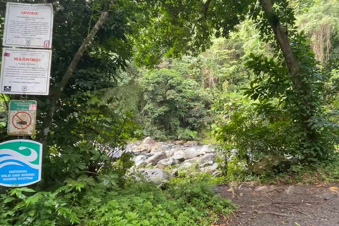 El Yunque Rainforest Hike with Transport from San Juan - Waterfalls and swimming pools: when to bring swim gear