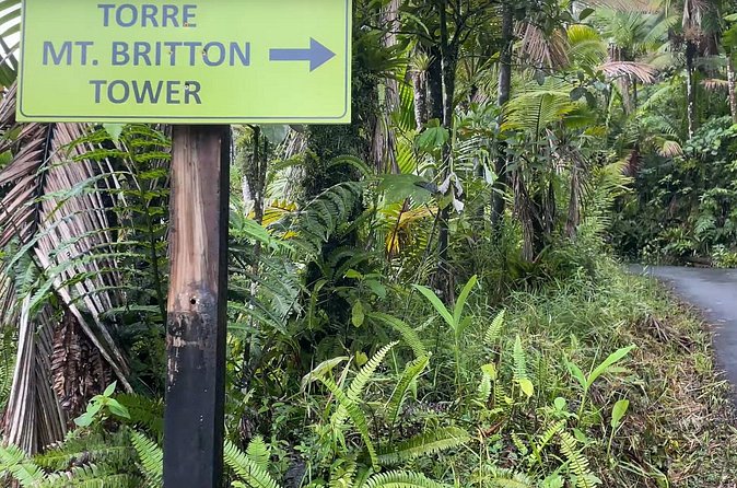 El Yunque Rainforest Hike with Transport from San Juan - Food and drinks: plan on buying lunch, not counting on it