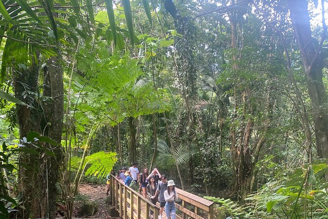 El Yunque Rainforest Hiking Tour from San Juan - Key Highlights You’ll Feel Fast