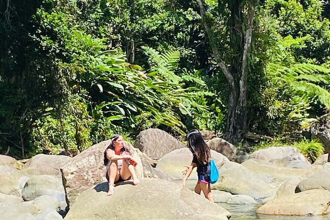 El Yunque Rainforest Hiking Tour from San Juan - La Coca Falls: When the Rainforest Gets Loud