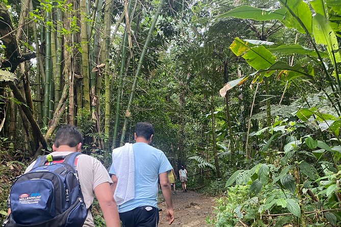 El Yunque Rainforest Hiking Tour from San Juan - The River Walk and Optional Swim: The Part That Feels Like Escape