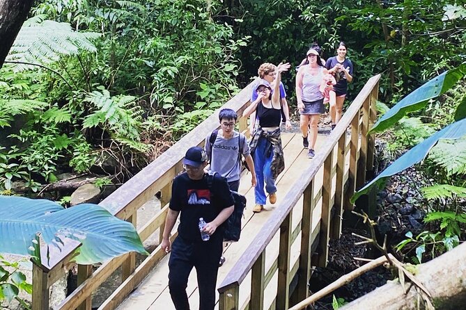 El Yunque Rainforest Hiking Tour from San Juan - How the Tour Pacing Works (and Why Some People Want More)