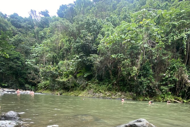 El Yunque Rainforest Hiking Tour from San Juan - Price and Value: Why $79 Can Work (If You Want This Style)