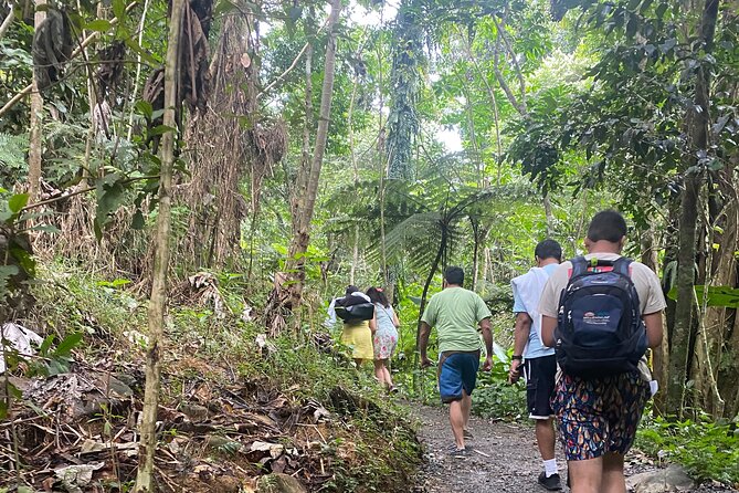 El Yunque Rainforest Hiking Tour from San Juan - The Climb to Yokahu Tower: Views at About 2,000 Feet