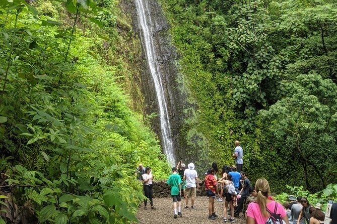 Electric Bike Ride & Manoa Falls Hike Tour - The Trail Ends at the Payoff: Waterfall Time and Photo Moments