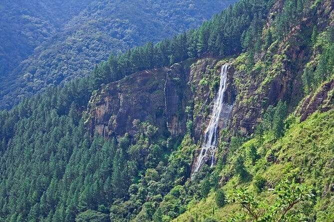 Ella Rock Hiking Tours ( sunrise-tour ,good morning tour,sunny afternoon tour ) - Stop 1: Ella Rock—What Happens on the Trail and at the Top