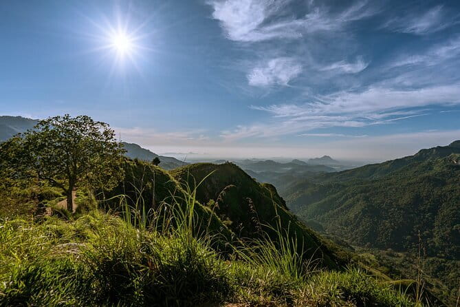 Ella Rock Hiking Tours ( sunrise-tour ,good morning tour,sunny afternoon tour ) - What You Actually Get: Snacks, Drinks, Water, and Light Gear