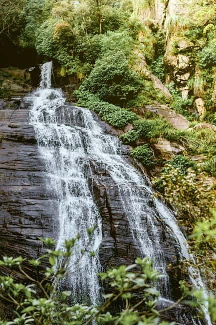 Ella: Waterfall hunting Hike to Bambarakanda and Lanka Falls - The secret stop walk: small detour, big emotional value