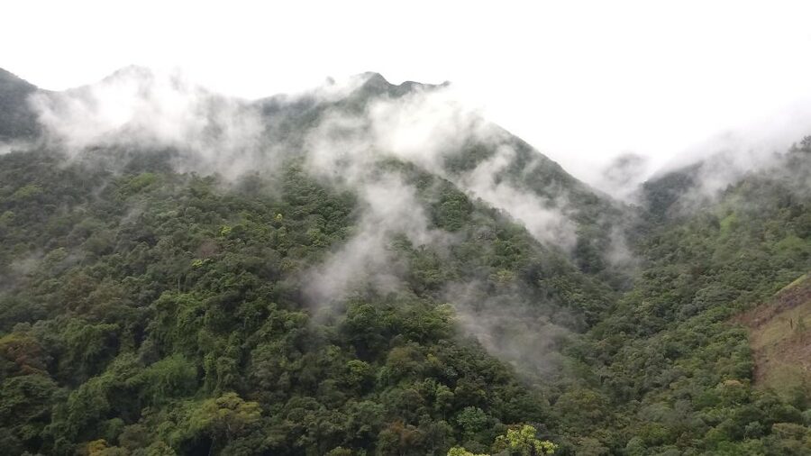 Ella: Waterfall hunting Hike to Bambarakanda and Lanka Falls - Ohiya break: where the pace resets before the rainforest walking