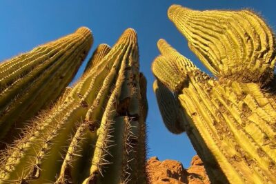 Epic Camelback Mountain Guided Hiking Adventure in Phoenix, Arizona - Guide-led scrambling: safer climbing without turning it into a textbook