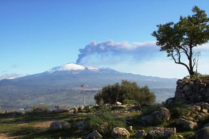 Etna: Trekking to the summit craters at 3,340 meters - Price and real value: $78.10 plus an extra €82 on site