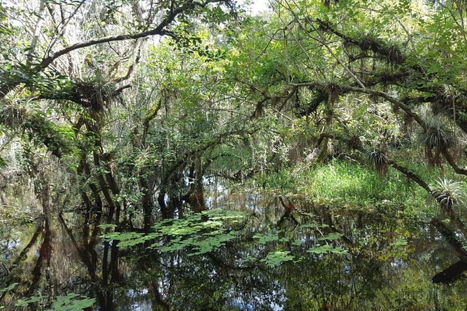 Everglades National Park Biologist Led Adventure: Cruise, Hike + Airboat - A long day, but it makes sense: how this Everglades itinerary really flows