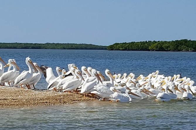 Everglades National Park Biologist Led Adventure: Cruise, Hike + Airboat - Stop 2: Miccosukee airboat journey and the remote village feel