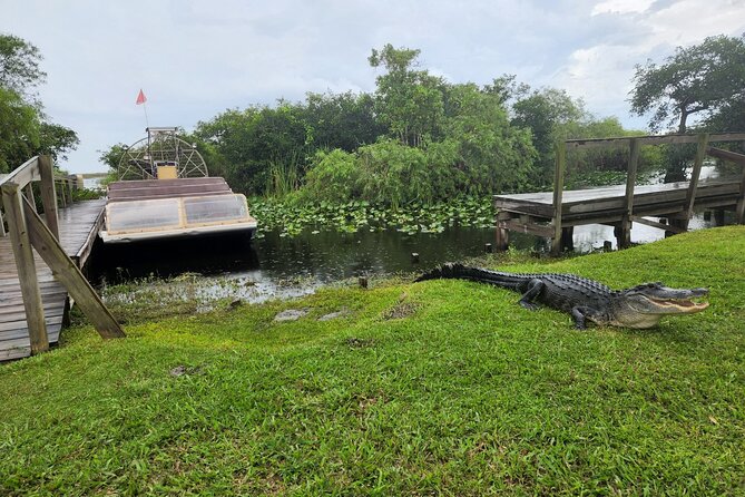Everglades National Park Biologist Led Adventure: Cruise, Hike + Airboat - Stop 6: Big Cypress Swamp Welcome Center and the manatee possibility