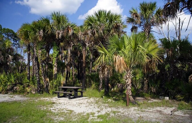 Everglades National Park Naturalist Led Hike, 2 Boat Trips + More - Key things that make this tour worth your time