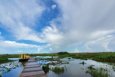 Everglades National Park Naturalist Led Hike, 2 Boat Trips + More - Entering Everglades National Park for the Visitor Stamp and Real Wildlife