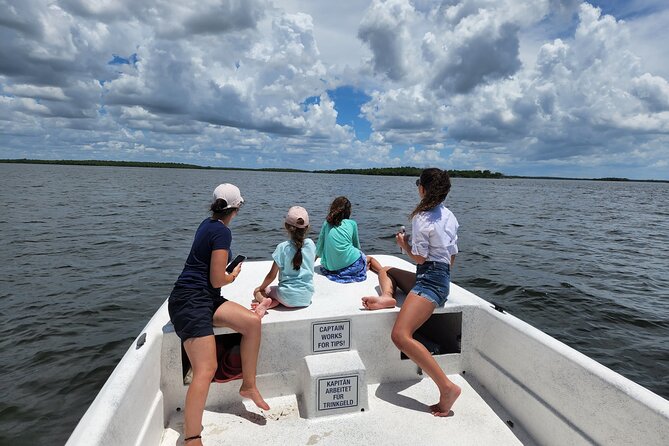 Everglades National Park Naturalist Led Hike, 2 Boat Trips + More - Extra Wildlife Chances on the Drive and Photo-Stop Timing That Matters