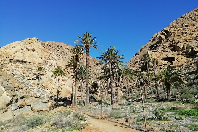 Excursion to Ajuy Caves with a secret Las Penitas canyon Hike - Tindaya: seeing the island’s big archaeological presence from the road