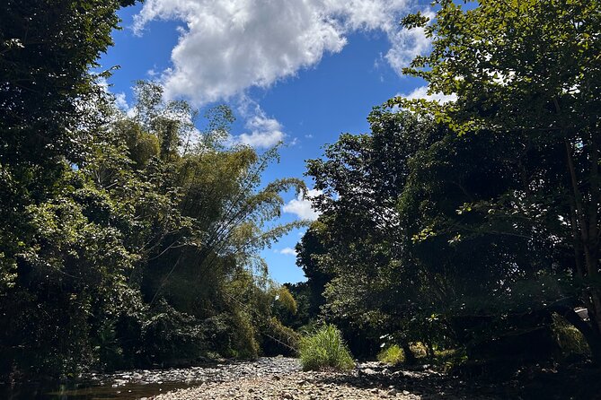 Explore El Yunque: Hiking, Swings & Waterslide (Small Group) - Price and Value: Why $40 Can Feel Like a Deal Here