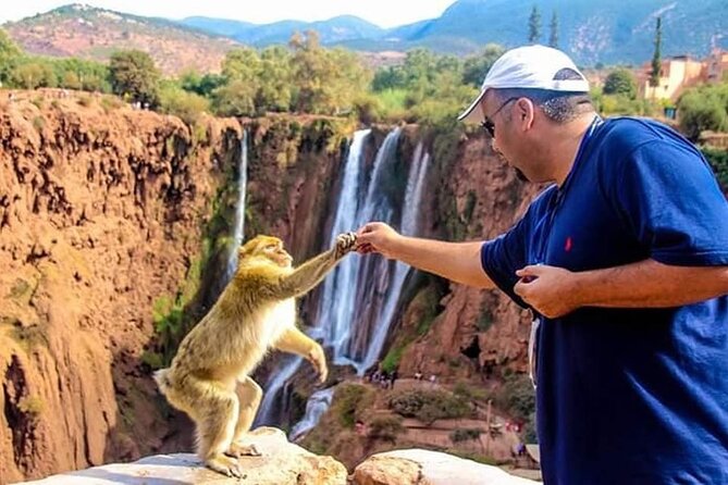 Explore Ouzoud waterfalls Marrakech Guided Hike & Boat Experience - Marrakech pickup to Ouzoud: why the early start matters