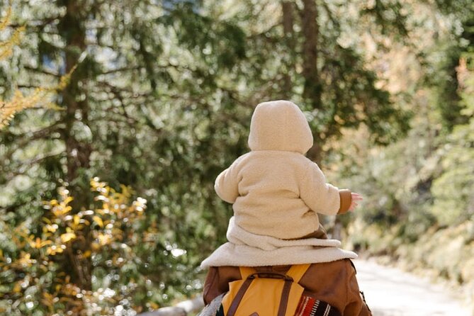 Family-Friendly Nature Hike around the Big Bear Valley - Meet at Skyline Trail 2N10 Public Access (Mill Creek Rd) and start easy