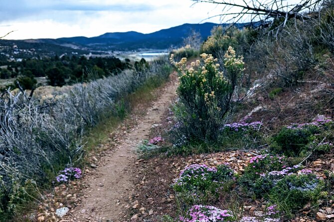 Family-Friendly Nature Hike around the Big Bear Valley - The trail pace: stroller-friendly, most abilities, and real downtime