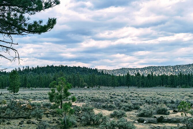 Family-Friendly Nature Hike around the Big Bear Valley - What you’ll likely see and do from start to finish