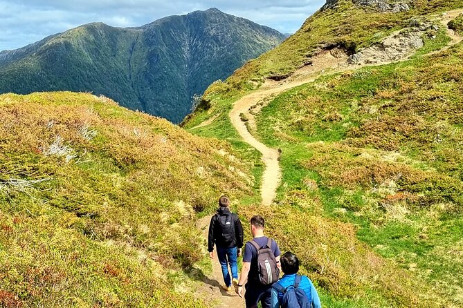 Fjord Hiking - Public tour - What you’ll see at the top (and why it feels worth it)
