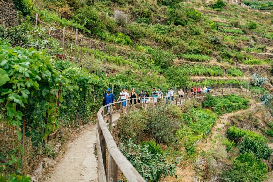 Florence: Cinque Terre Day Trip with Optional Hiking or Pisa - Manarola and Corniglia: First Views, First Train Legs