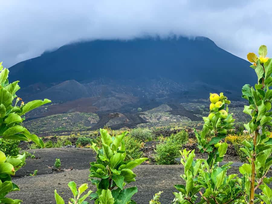 Fogo Island: Pico do Fogo Volcano Summit Hike - Key things you should know before you go