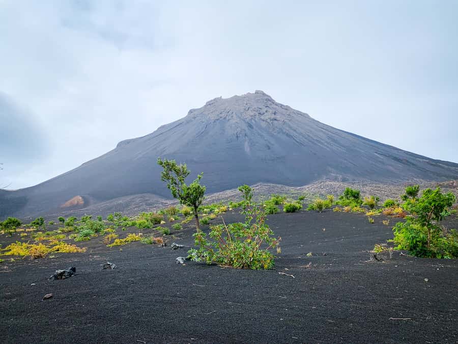 Fogo Island: Pico do Fogo Volcano Summit Hike - The day plan: pickup, ascent rhythm, summit at 2,829 meters