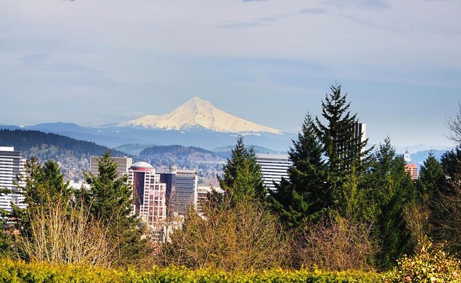 Forest Park Urban Hiking Tour, Portland - Key Things I’d Watch For Before You Go