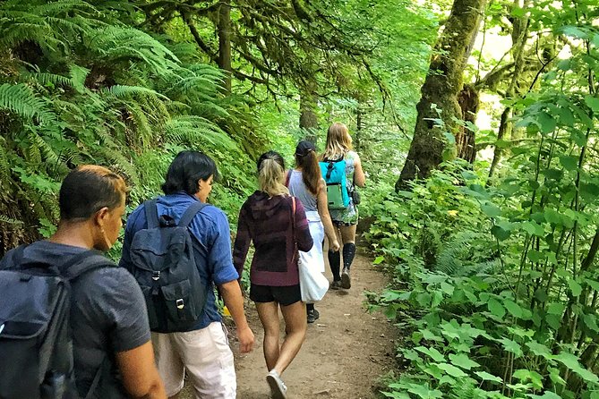 Forest Park Urban Hiking Tour, Portland - International Rose Test Garden: The Rose Stop That Has a Season