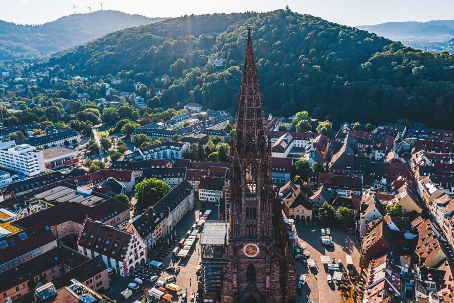 Freiburg: Veni, vidi, vino - wine hike and tasting - Schlossberg Views Over Rheingraben and the Kaiserstuhl