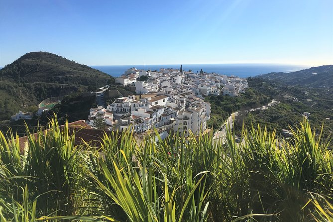 Frigiliana Small-Group Hike and Wine Tasting Tour from Malaga - How The Day Works: Pickup, Timing, And A Very Manageable Route