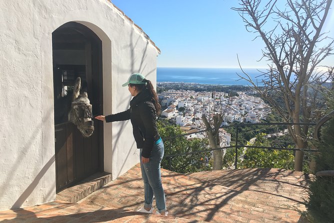 Frigiliana Small-Group Hike and Wine Tasting Tour from Malaga - Old Waterways To Spectacular Viewpoints: Where The Walk Really Delivers