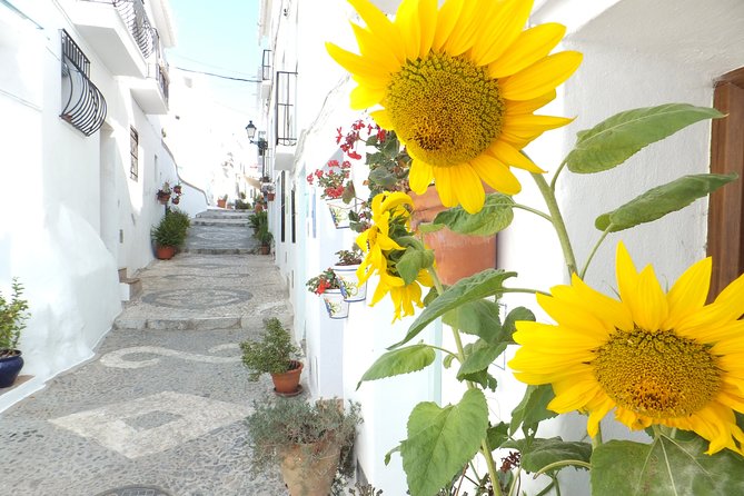Frigiliana Small-Group Hike and Wine Tasting Tour from Malaga - Frigiliana Time: A Guided Path Into A Famous Village
