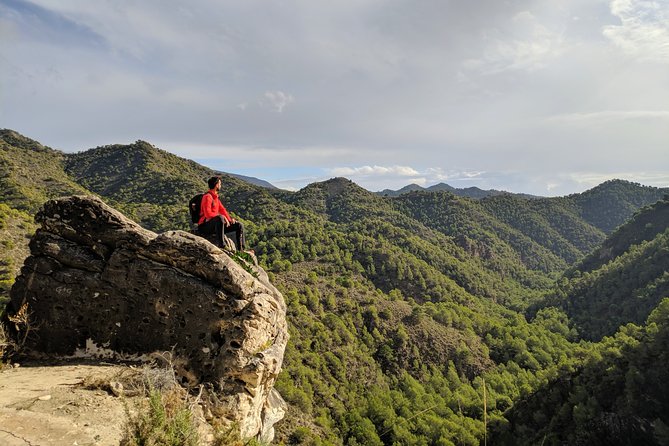 Frigiliana Small-Group Hike and Wine Tasting Tour from Malaga - Wine Tasting In A Cellar: The Payoff With A Local Touch