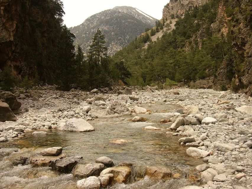 From Agia Galini/Matala: Samaria Gorge Hiking Tour - Getting Up to Omalos Plateau: The Part Nobody Flirts With