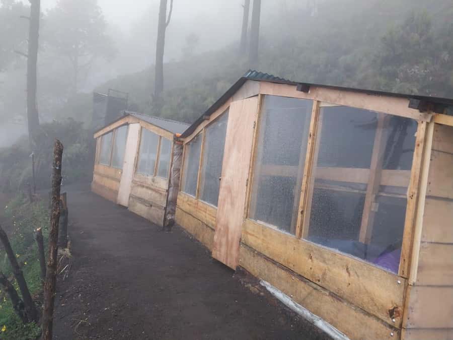 From Antigua: 2-Day Acatenango Volcano Hiking with Guide - Base camp reality on Acatenango: dinner, stars, and Fuego in your view