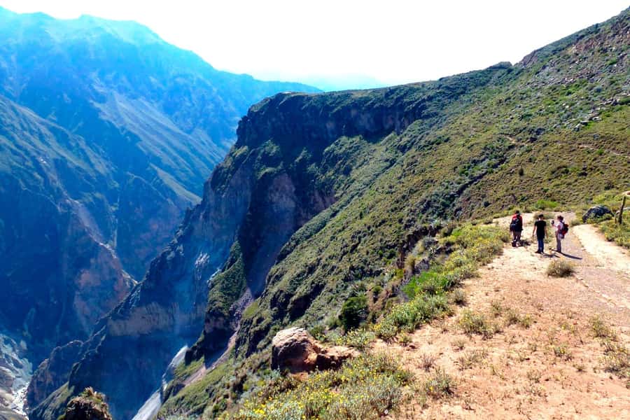 From Arequipa Trek : 2-Days of Hiking in the Colca Canyon - Key Moments That Make This Trek Worth It