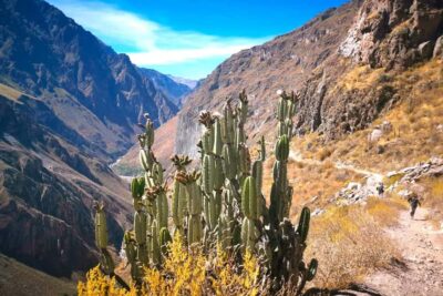 From Arequipa Trek : 2-Days of Hiking in the Colca Canyon - The 3 a.m. Arequipa Start: What the Morning Commute Actually Means