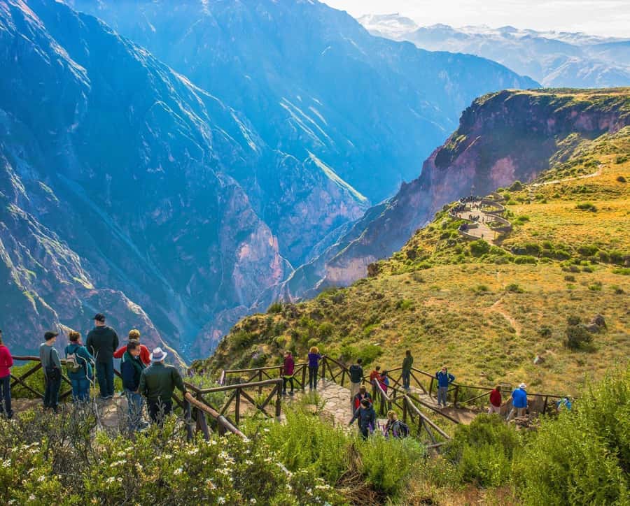 From Arequipa Trek : 2-Days of Hiking in the Colca Canyon - Day Two Sunrise Climb: The Part That Separates Casual From Committed