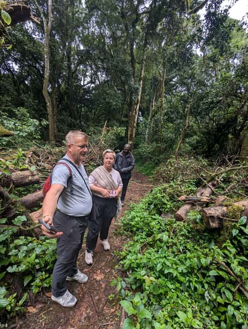 From Arusha/Moshi: Kilimanjaro Hike Marangu Route Day Trip - Price and value: what $101 includes, and what costs extra