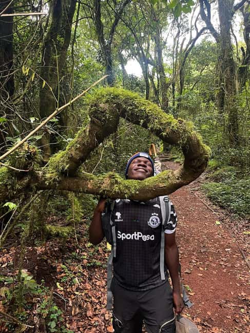 From Arusha/Moshi: Kilimanjaro Hike Marangu Route Day Trip - Who should choose this Marangu day trip (and who shouldn’t)