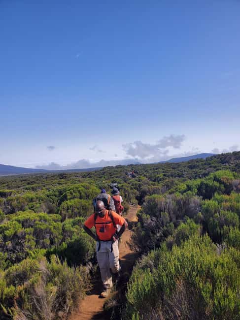 From Arusha/Moshi: Kilimanjaro Hike Marangu Route Day Trip - Should you book the Marangu Route day hike from Moshi/Arusha?