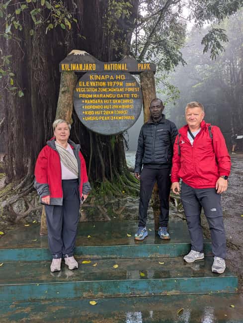From Arusha/Moshi: Kilimanjaro Hike Marangu Route Day Trip - Registration, briefing, and the rainforest start: Marangu Gate to Mandara Hut