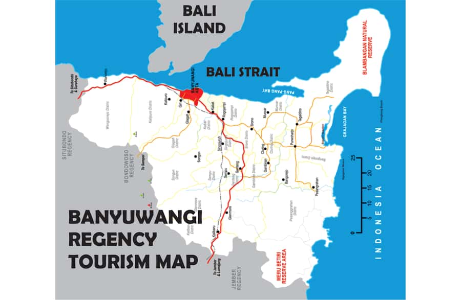 From Bali or Banyuwangi: Ijen Crater Sunrise Hike - The 1.5–2 hour climb to the viewpoint