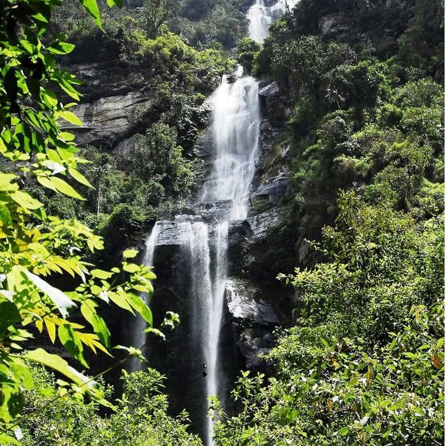 From Bogota: La Chorrera Waterfall Guided Hike - Quick hits on La Chorrera Waterfall
